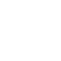 The Younique Foundation